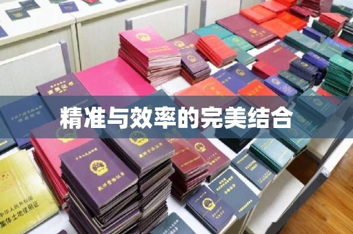 霸州精准与效率的完美结合